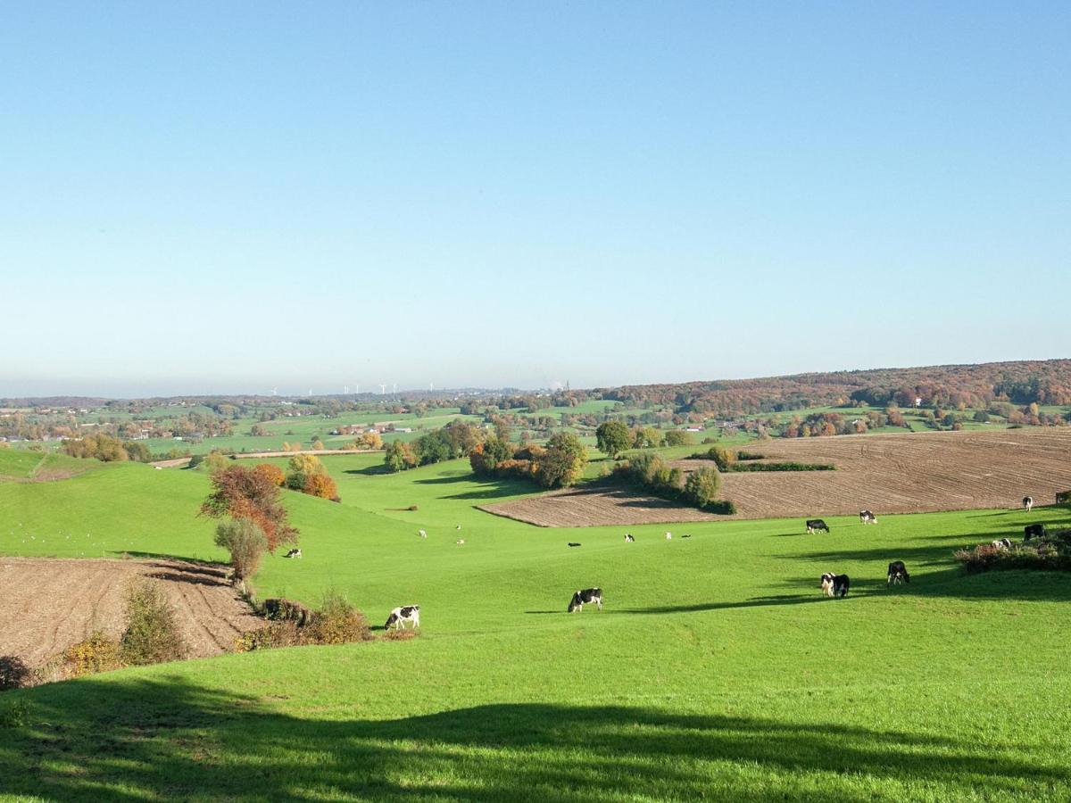 Beautifully Decorated And Spacious In The Heart Of South Limburg Schin op Geul